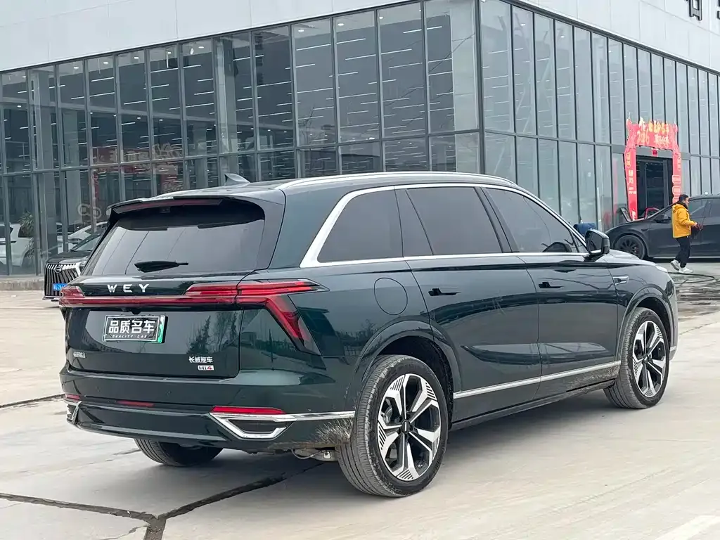 Wey Lanshan 2025 из CN, фото 4