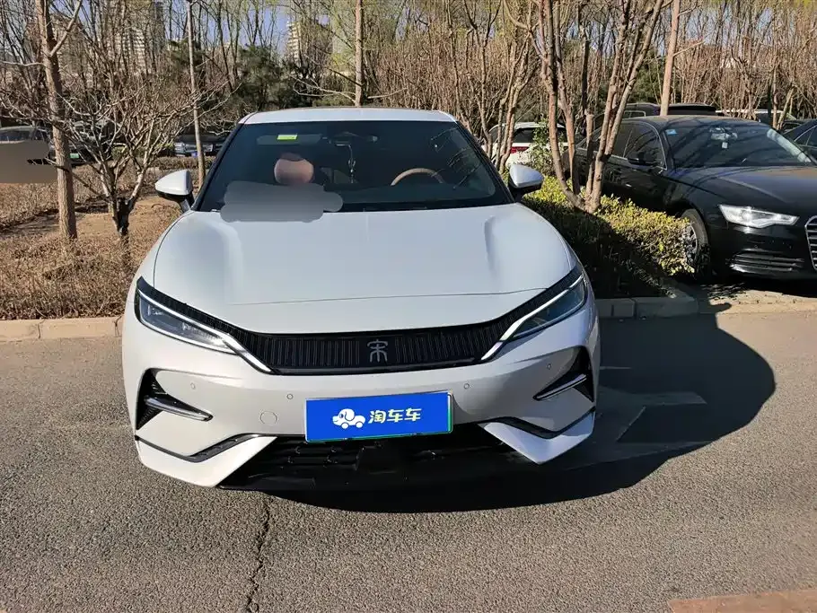 BYD L EV 2024 из CN, фото 10