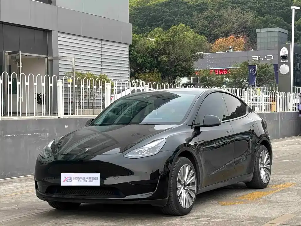 Tesla Model Y 2022 из CN, фото 1
