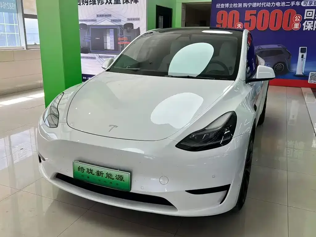 Tesla Model Y 2022 из CN, фото 1