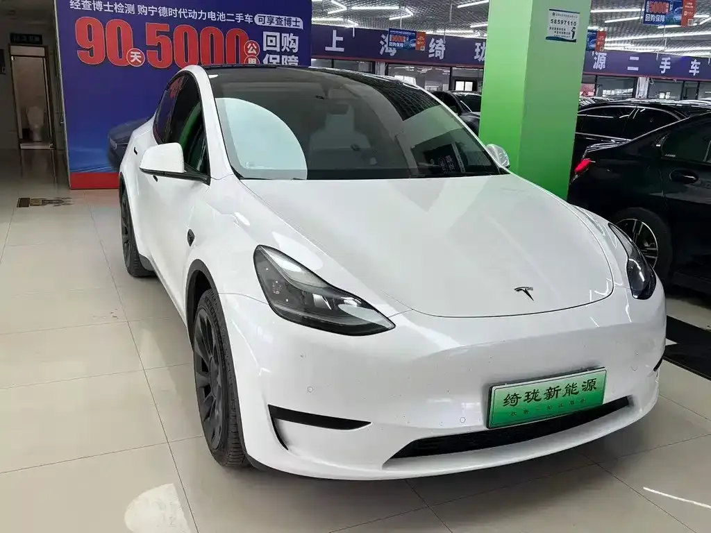 Tesla Model Y 2022 из CN, фото 5