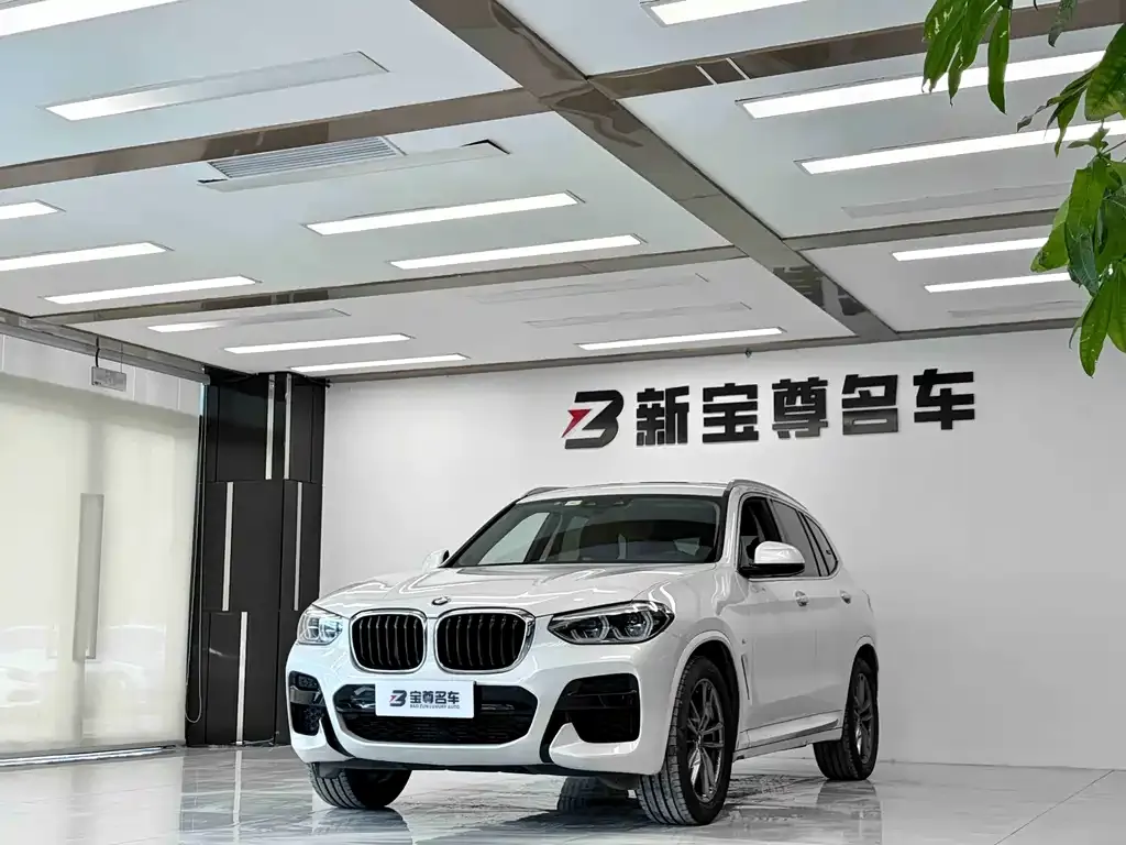 BMW X3 2021 из CN, фото 1