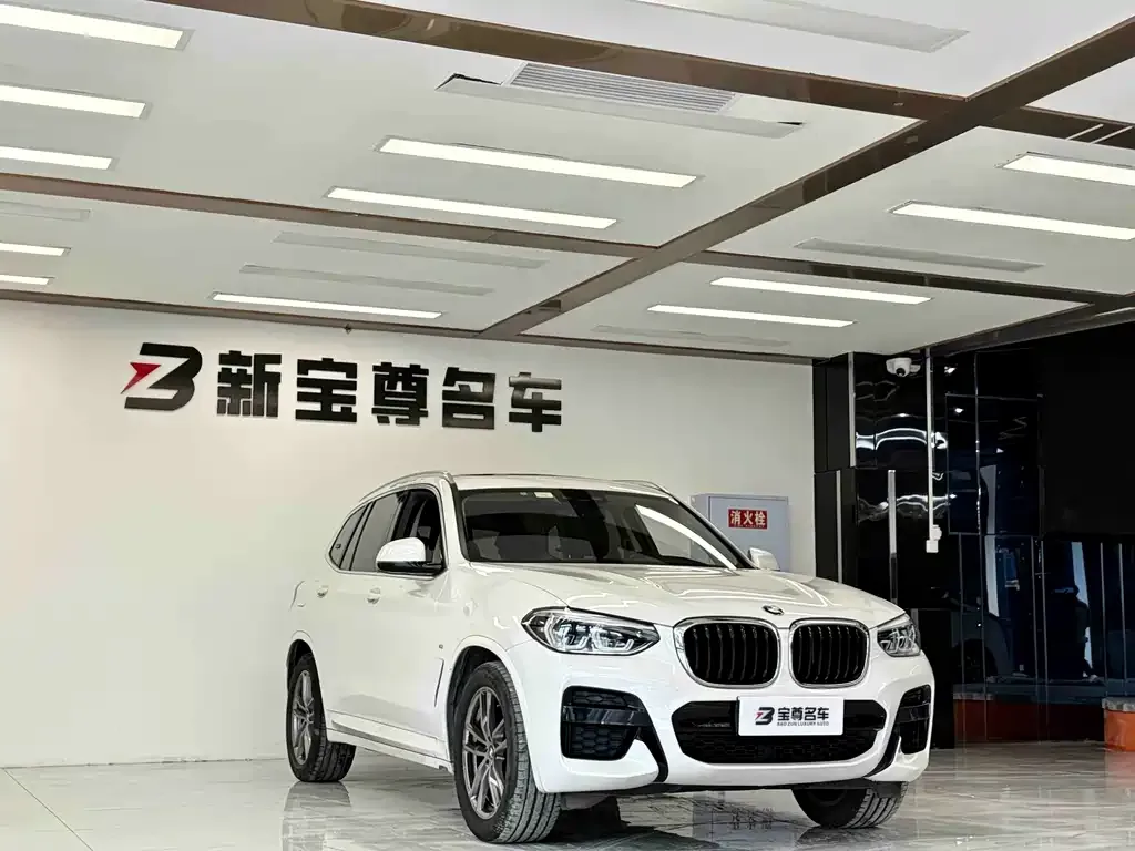 BMW X3 2021 из CN, фото 4