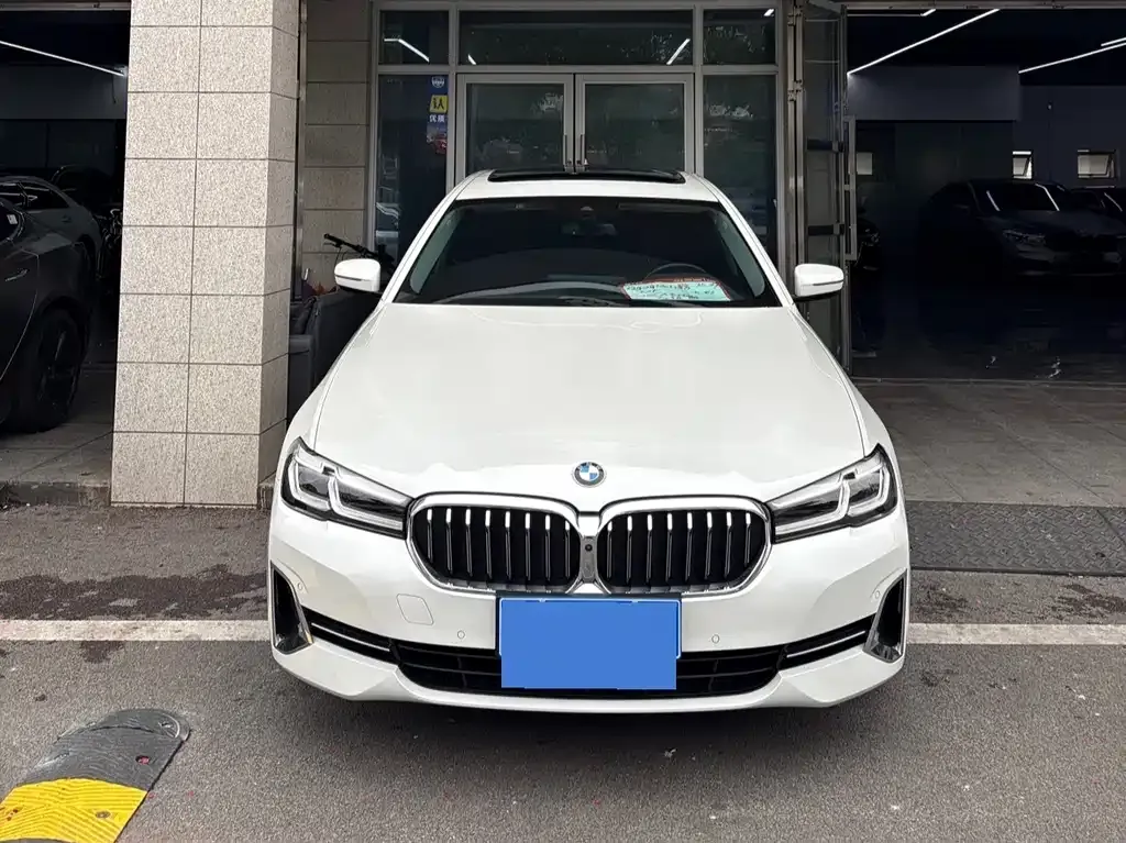 BMW 5 Series 2022 из CN, фото 3