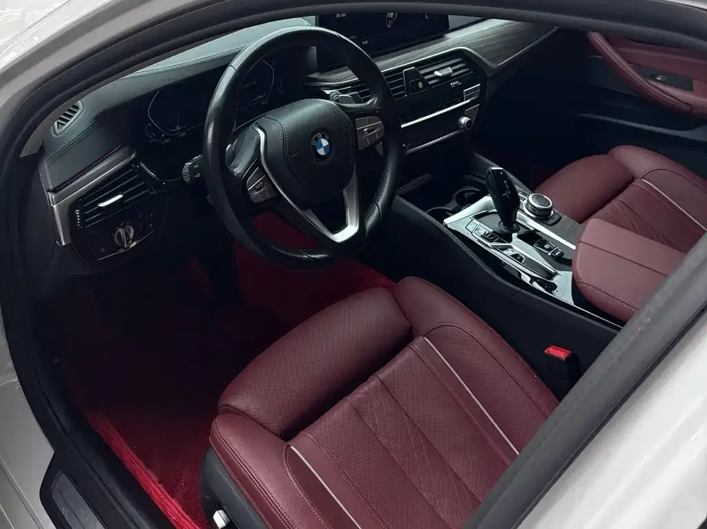 BMW 5 Series 2022 из CN, фото 5