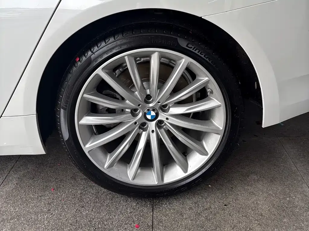 BMW 5 Series 2022 из CN, фото 7