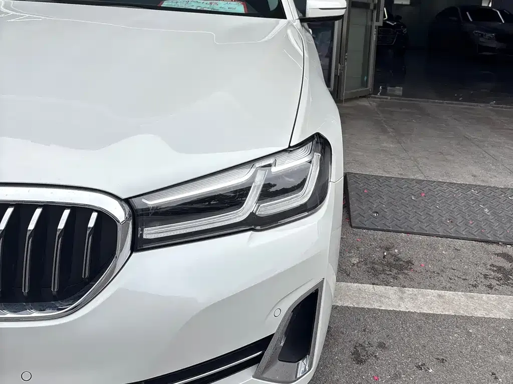 BMW 5 Series 2022 из CN, фото 4