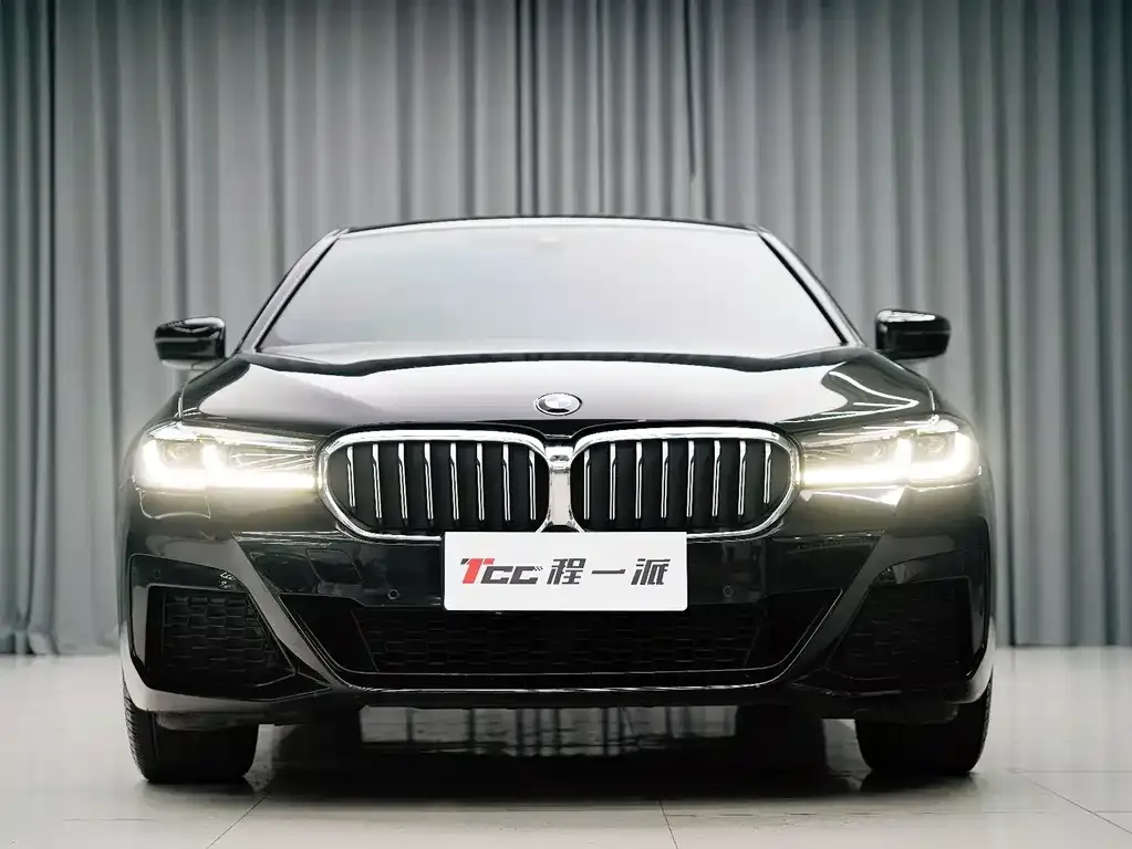 BMW 5 Series 2023 из CN, фото 8