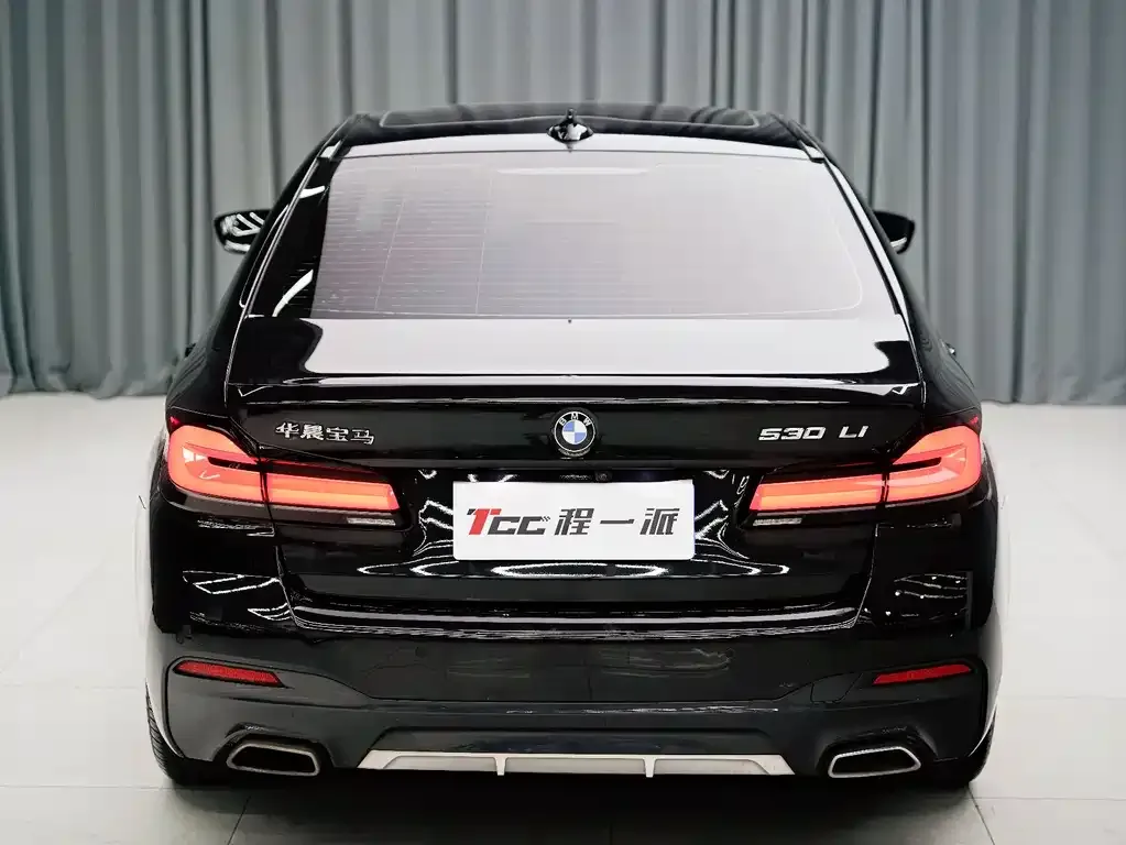 BMW 5 Series 2023 из CN, фото 6