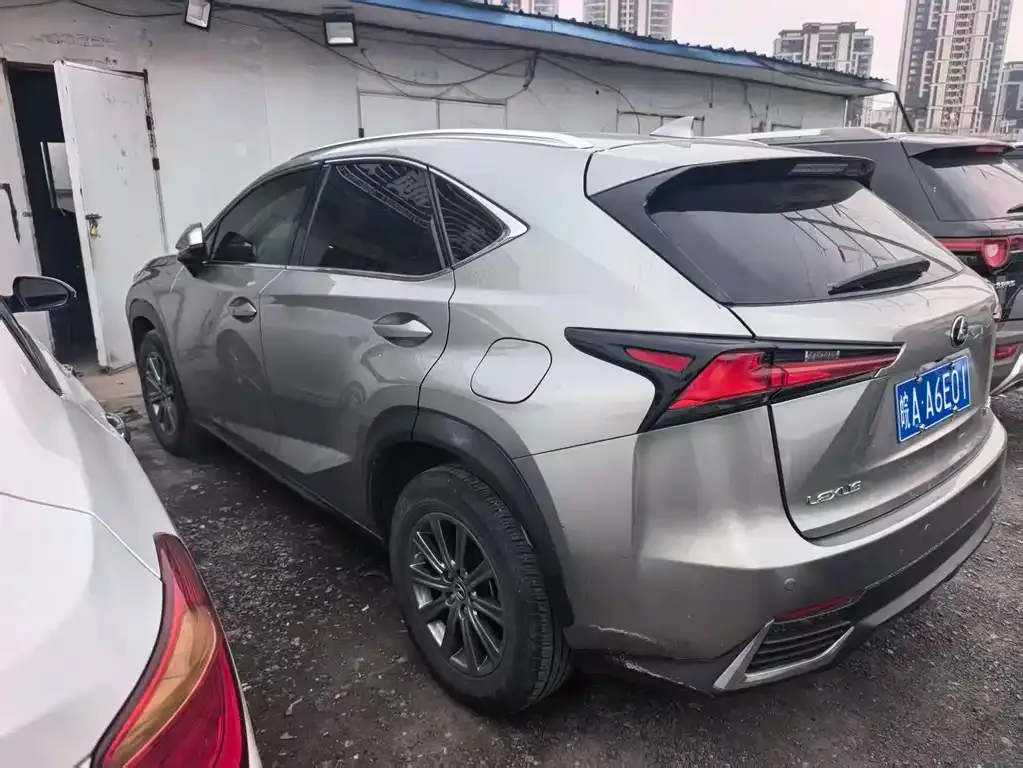 Lexus NX 2021 из CN, фото 2