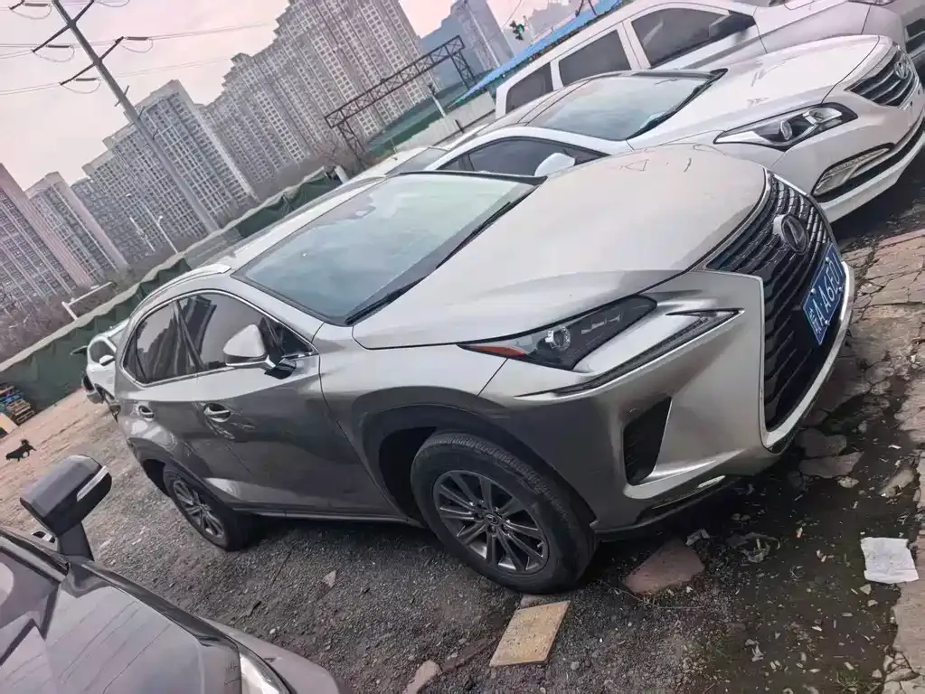 Lexus NX 2021 из CN, фото 6