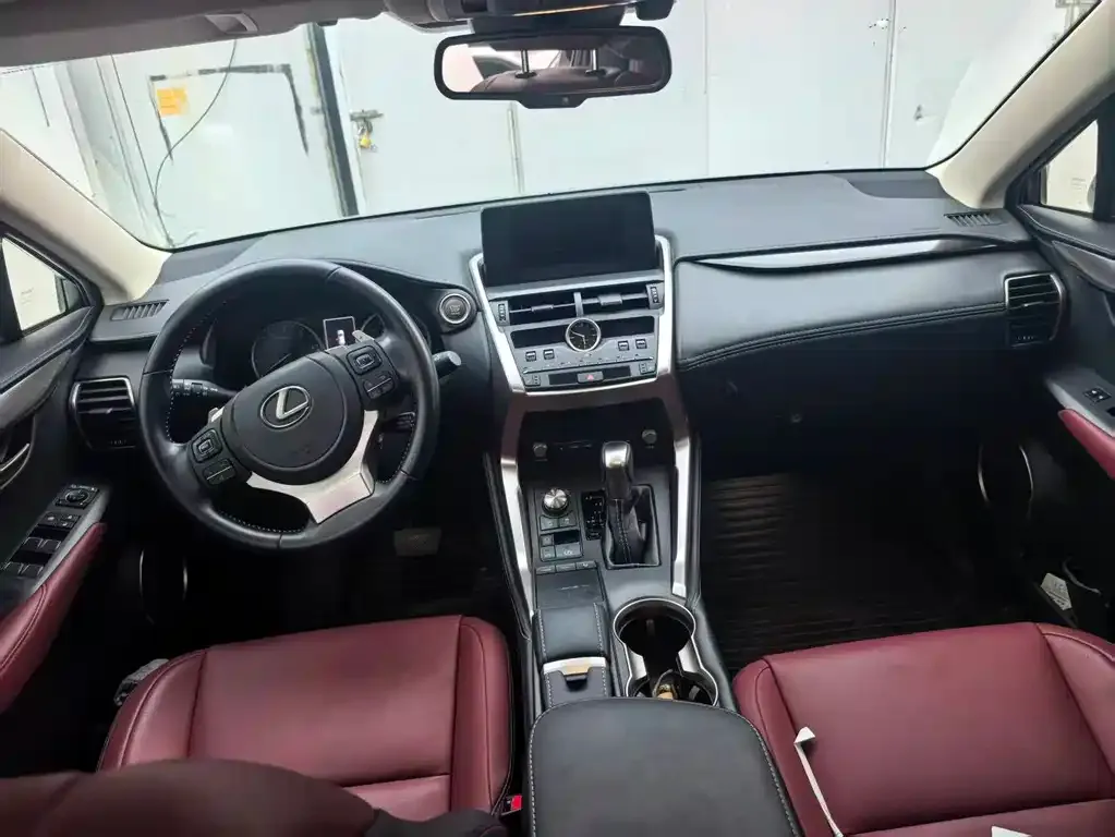 Lexus NX 2021 из CN, фото 4