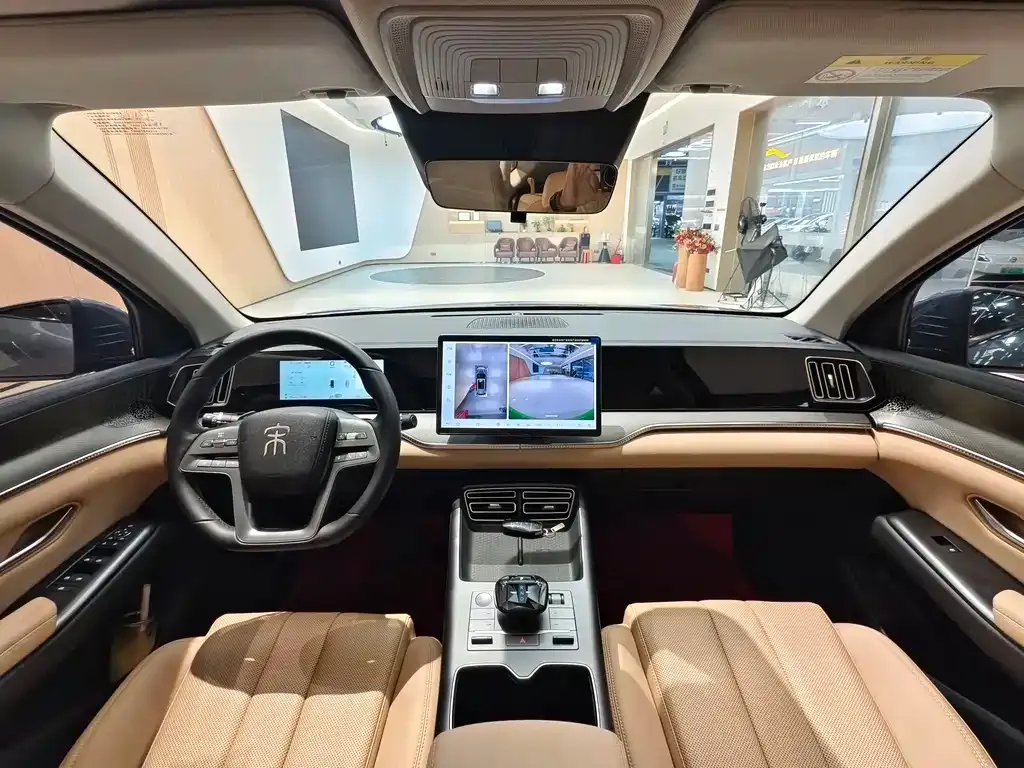 BYD Pro New Energy 2025 из CN, фото 10