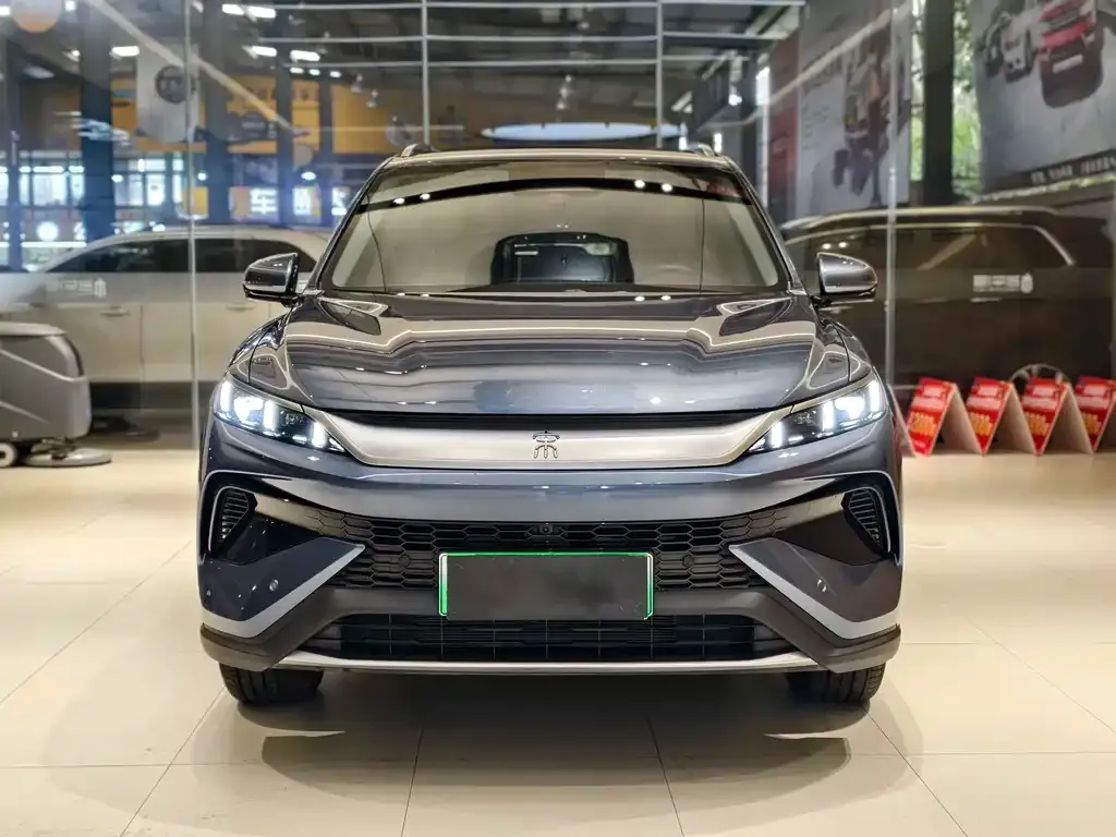 BYD Pro New Energy 2025 из CN, фото 2