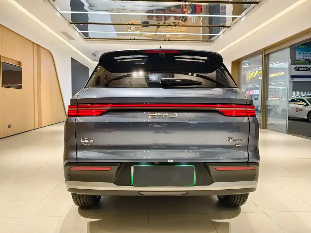BYD Pro New Energy 2025 из CN, фото 4