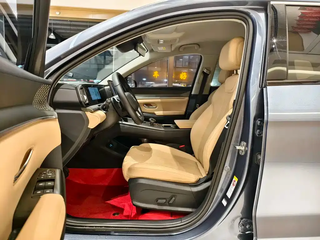 BYD Pro New Energy 2025 из CN, фото 9