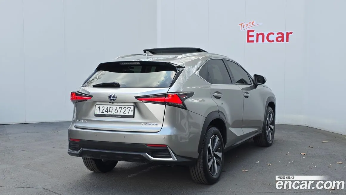 Lexus NX 2021 из KR, фото 9