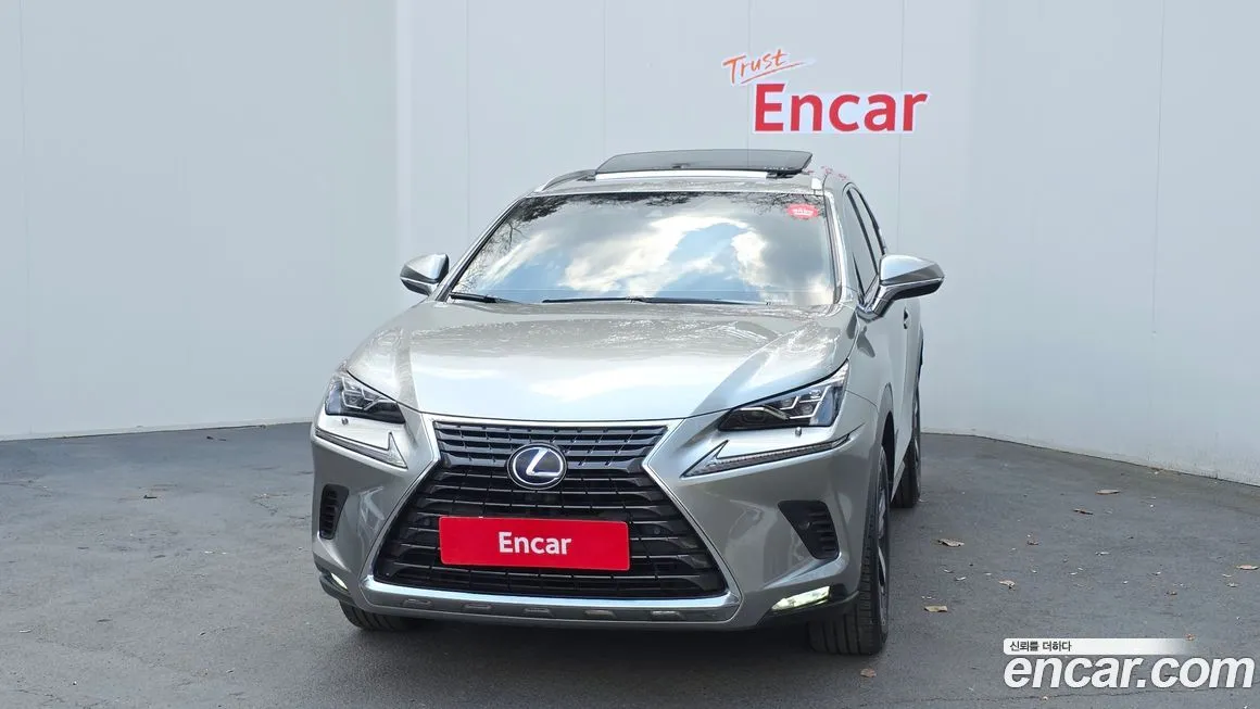 Lexus NX 2021 из KR, фото 6