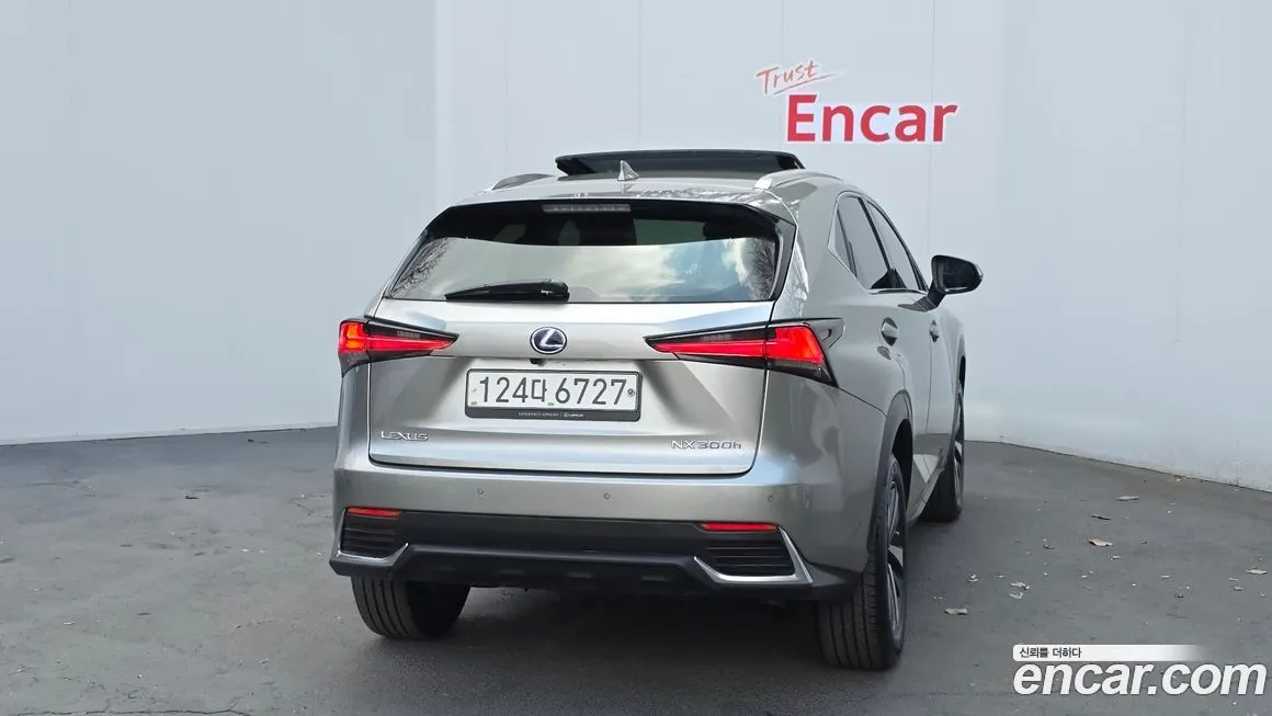 Lexus NX 2021 из KR, фото 2