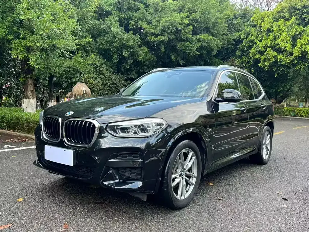 BMW X3 — фото 1