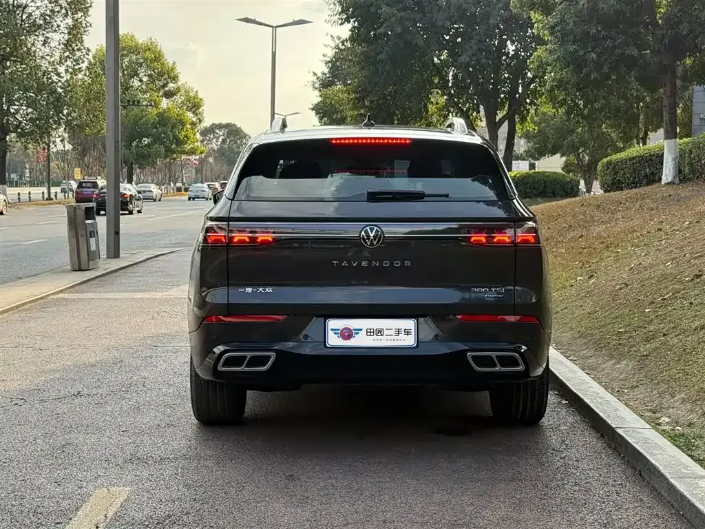 Volkswagen Tavendor 2023 из CN, фото 9