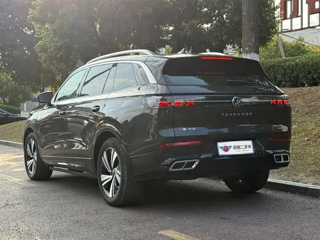 Volkswagen Tavendor 2023 из CN, фото 7