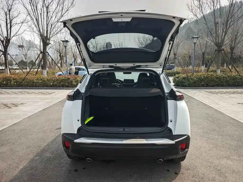 Peugeot 2008 2023 из CN, фото 9