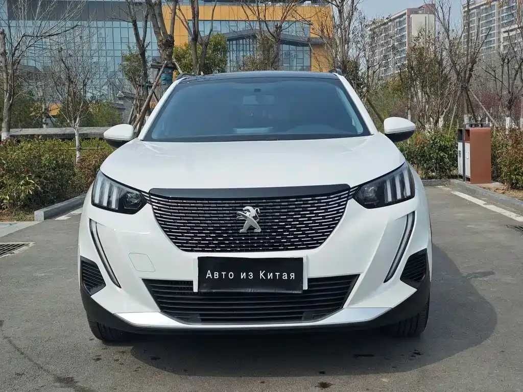 Peugeot 2008 2023 из CN, фото 8
