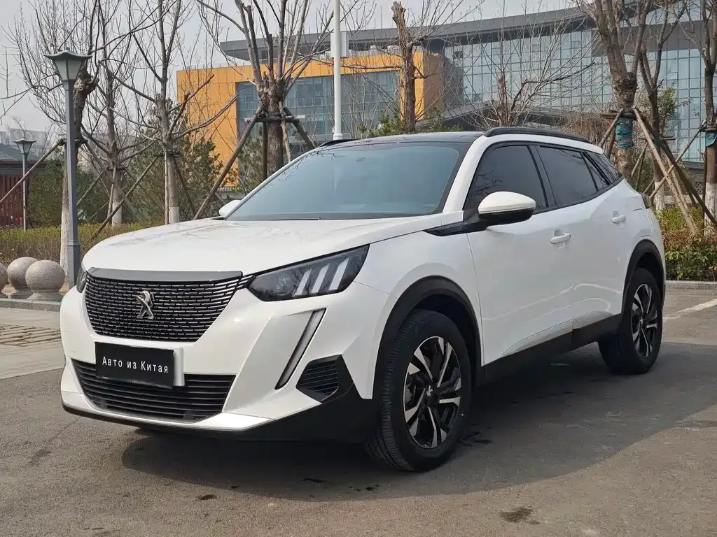 Peugeot 2008 2023 из CN, фото 10