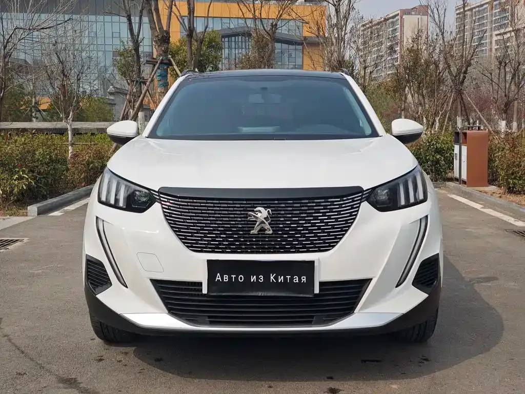 Peugeot 2008 2023 из CN, фото 7