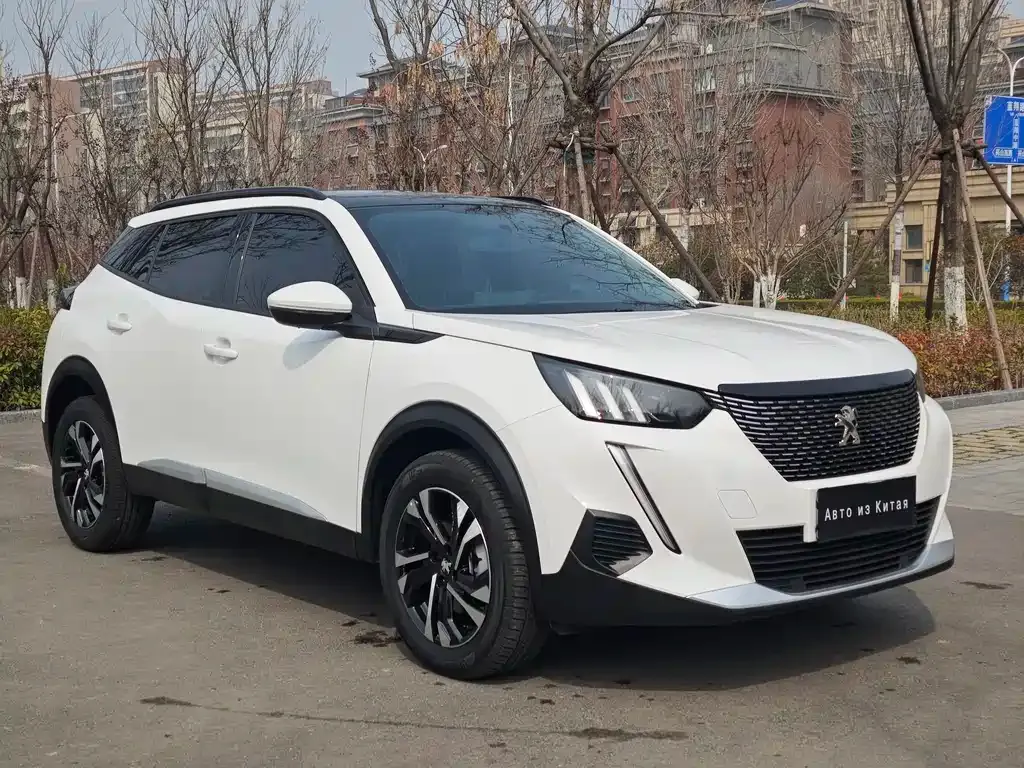 Peugeot 2008 2023 из CN, фото 4