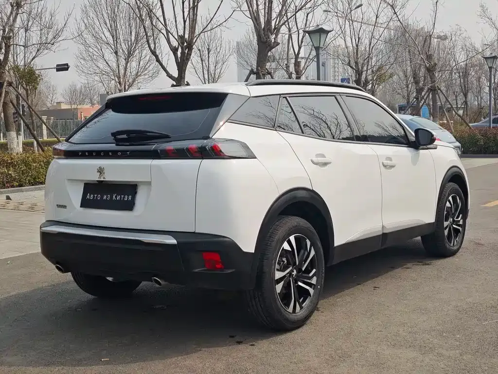Peugeot 2008 2023 из CN, фото 3