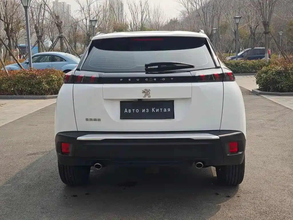 Peugeot 2008 2023 из CN, фото 5