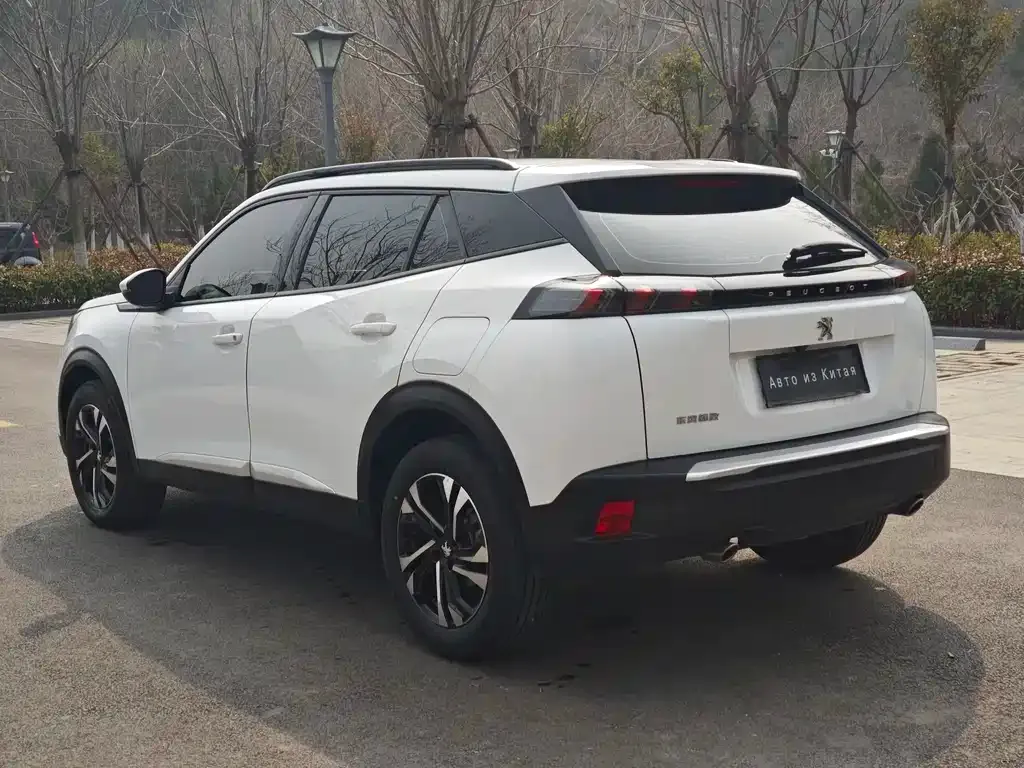 Peugeot 2008 2023 из CN, фото 2