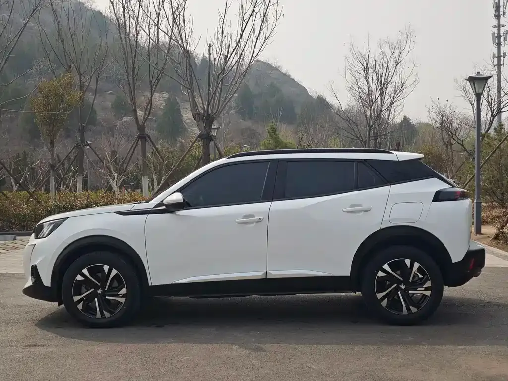 Peugeot 2008 2023 из CN, фото 6