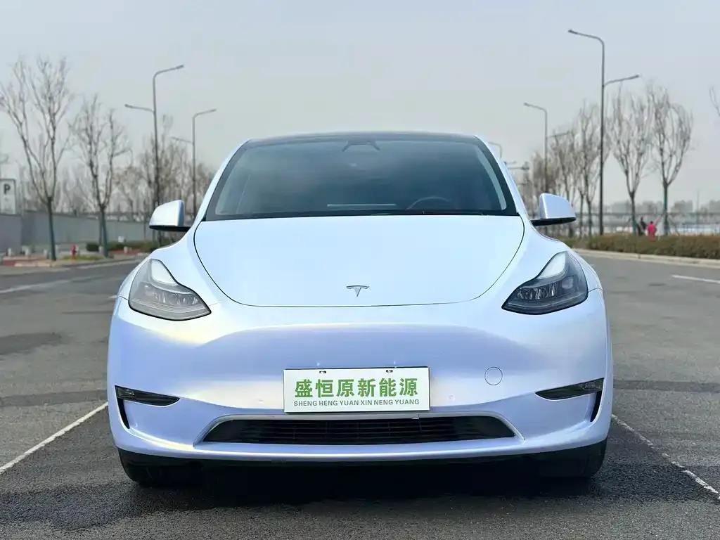 Tesla Model Y — фото 5