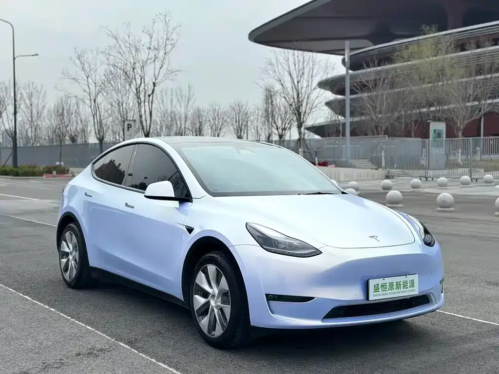Tesla Model Y — фото 8