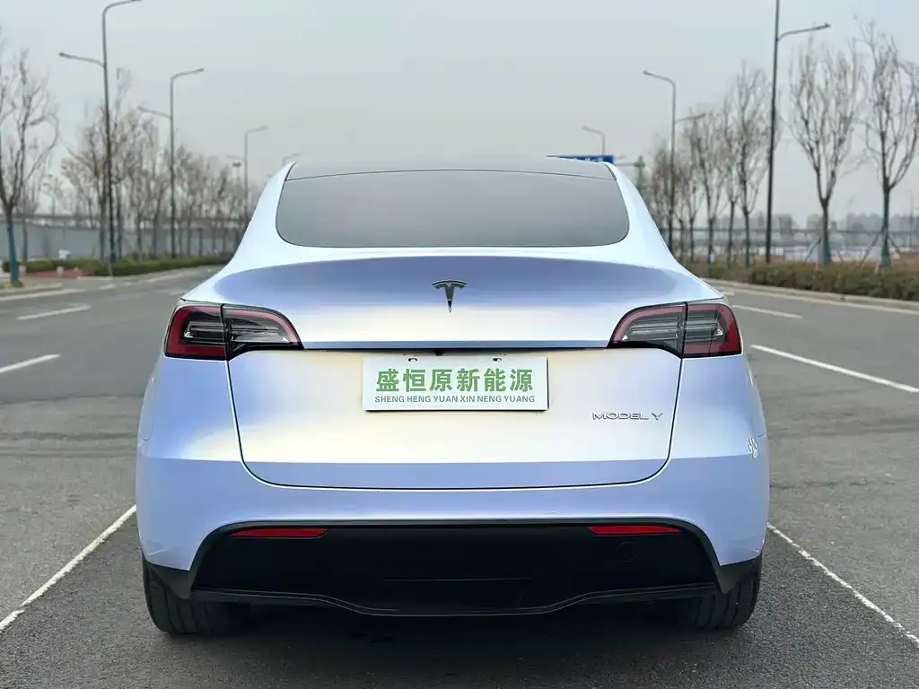 Tesla Model Y — фото 3