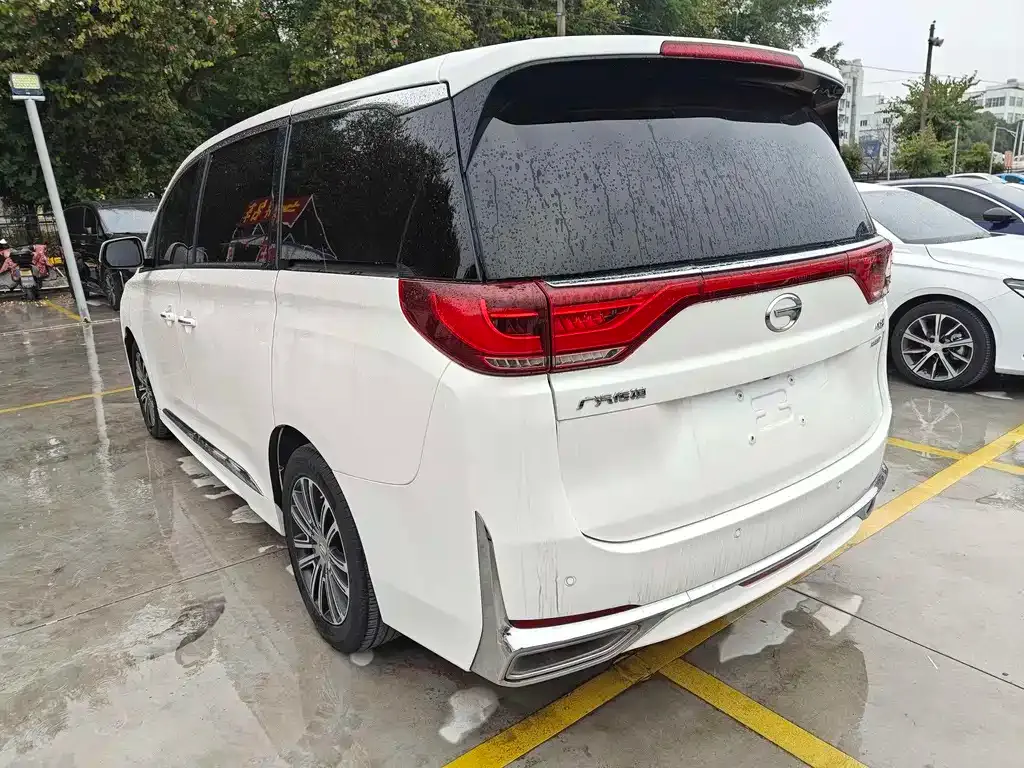 GAC Motor Trumpchi M8 2021 из CN, фото 9