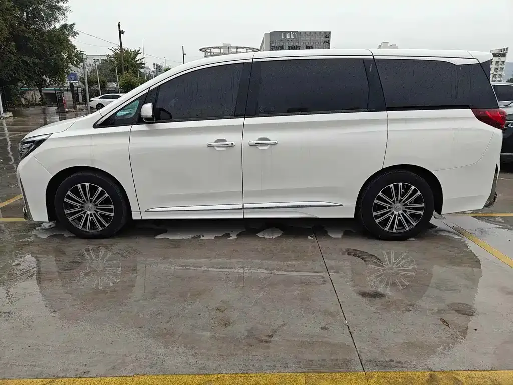 GAC Motor Trumpchi M8 2021 из CN, фото 8