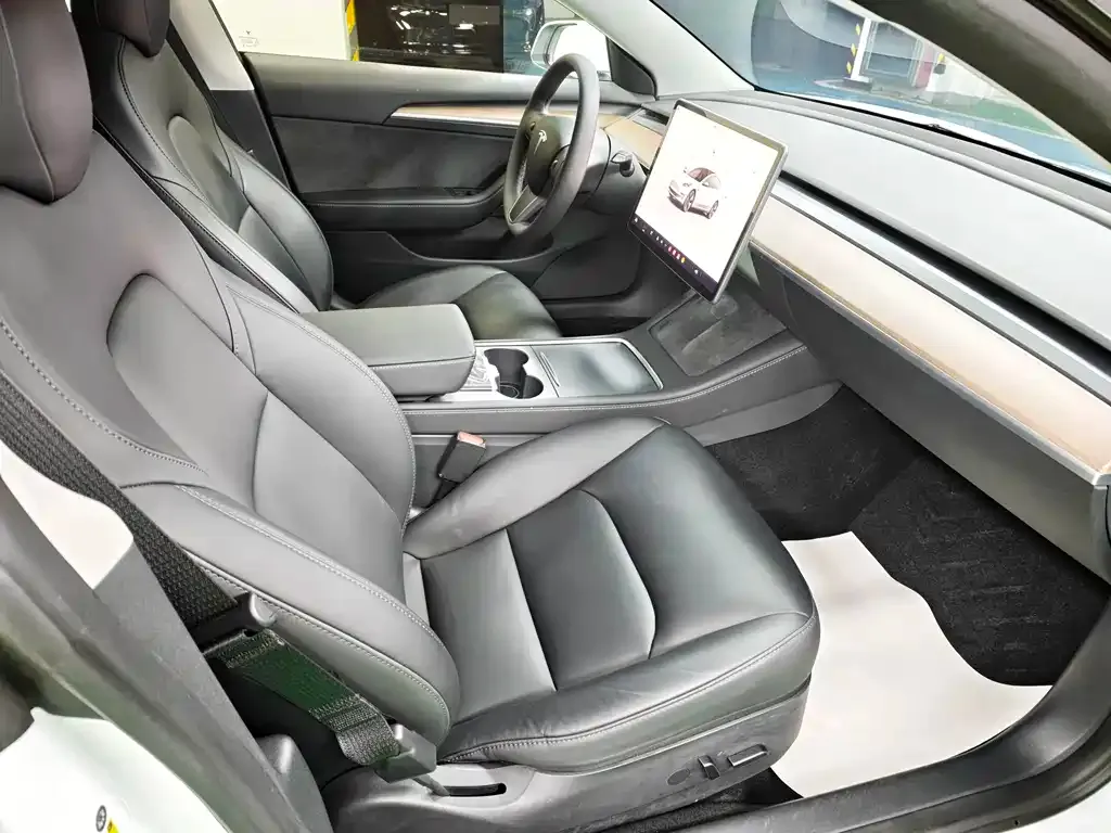 Tesla Model 3 2022 из CN, фото 5