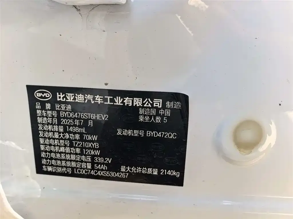 BYD Pro New Energy 2025 из CN, фото 5