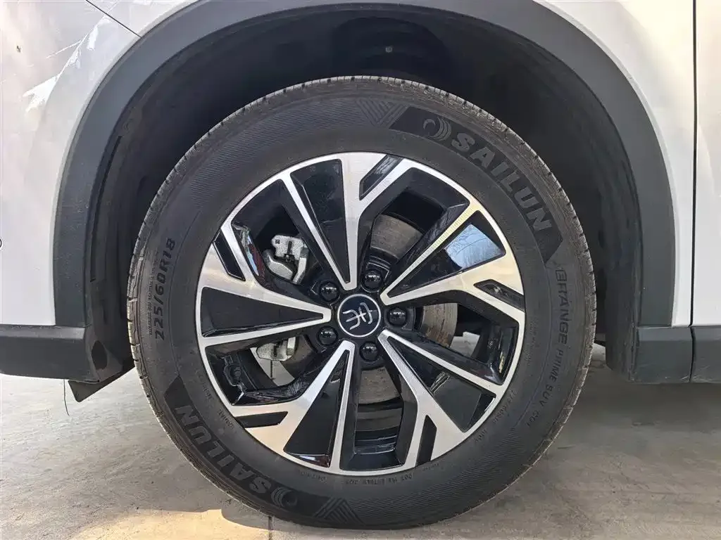 BYD Pro New Energy 2025 из CN, фото 6