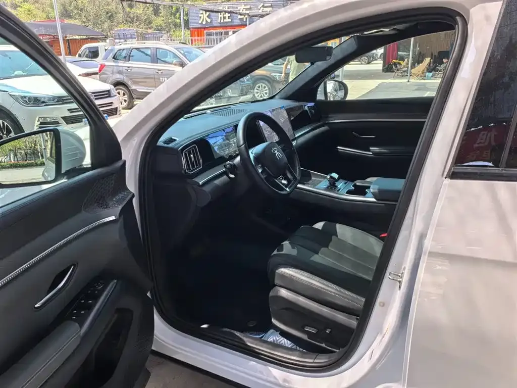BYD Pro New Energy 2025 из CN, фото 3
