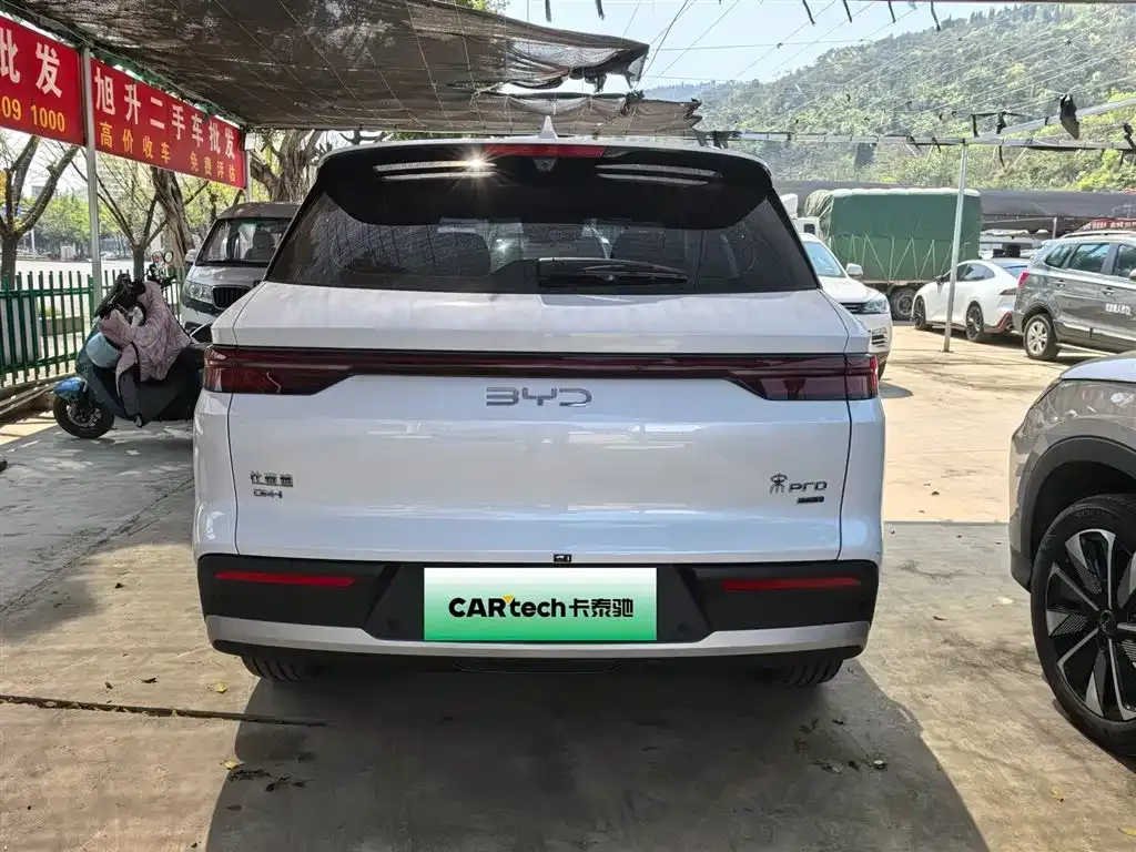 BYD Pro New Energy 2025 из CN, фото 9