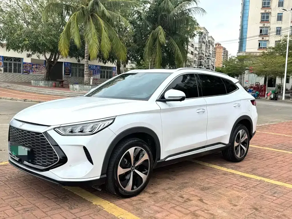 BYD PLUS New Energy 2023 из CN, фото 1