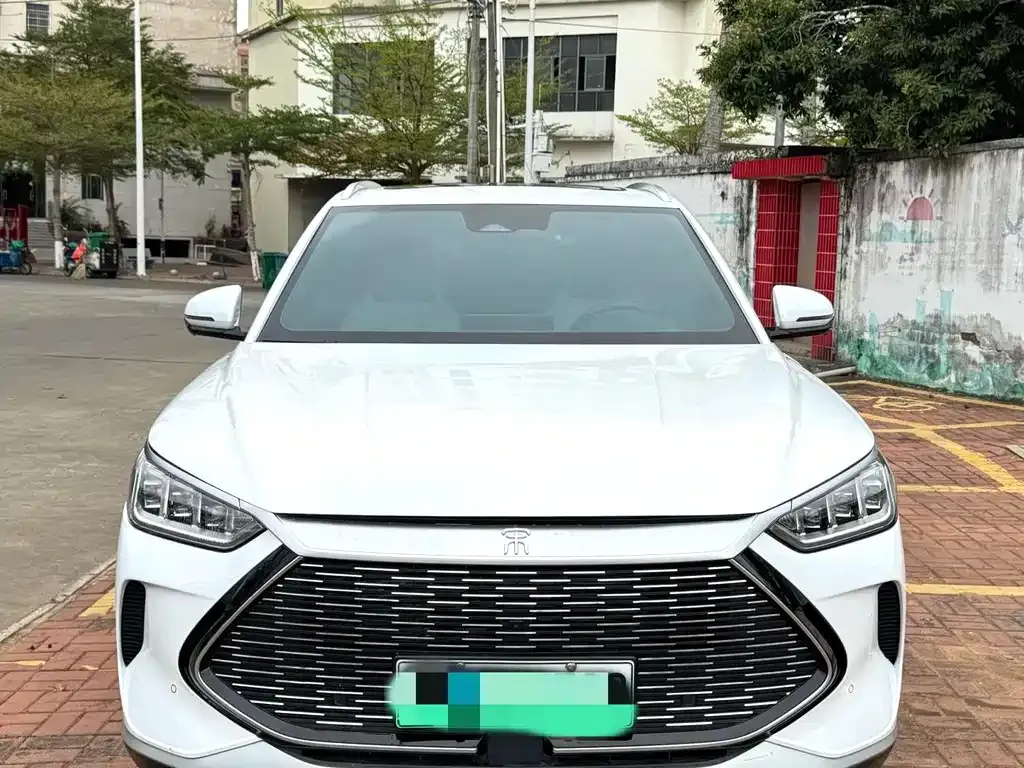 BYD PLUS New Energy 2023 из CN, фото 10