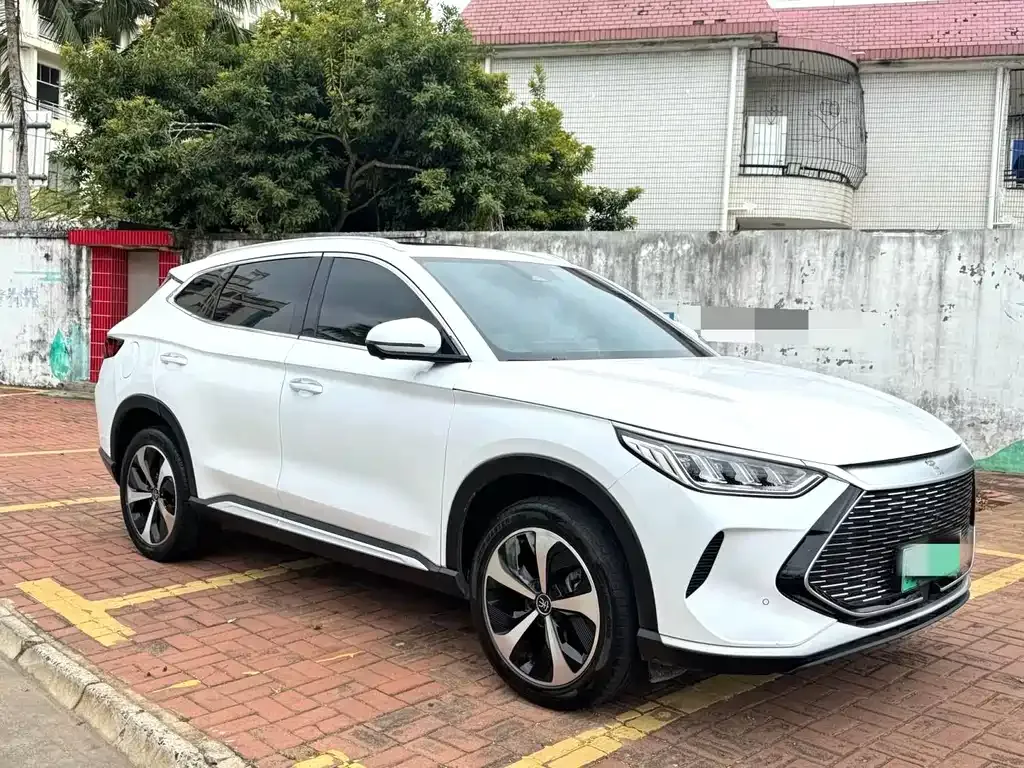 BYD PLUS New Energy 2023 из CN, фото 5