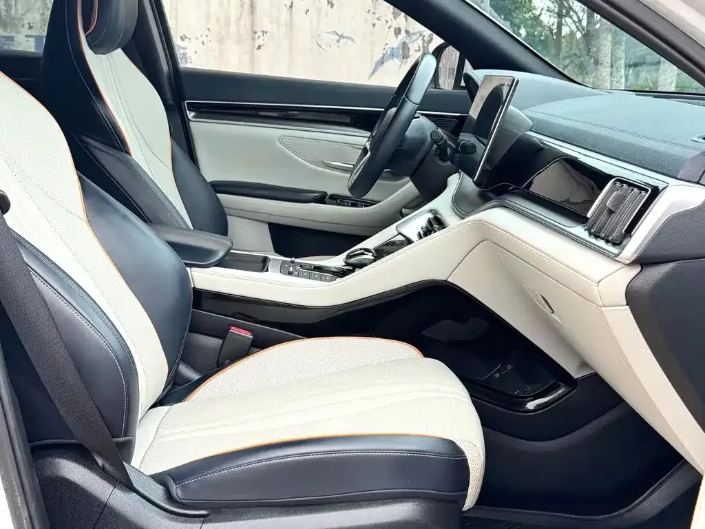 BYD PLUS New Energy 2023 из CN, фото 3