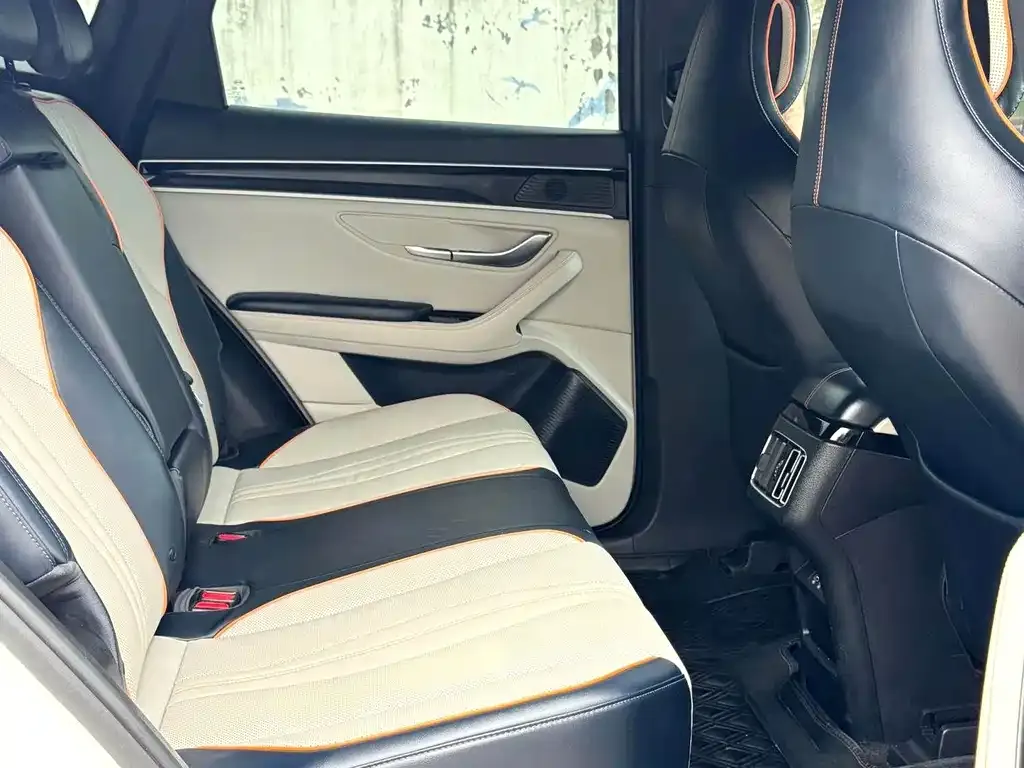 BYD PLUS New Energy 2023 из CN, фото 4